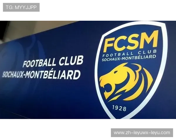 法甲外援适应性分析及其在球队战术中的作用