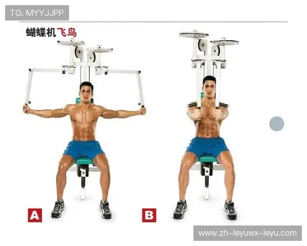 躺姿哑铃推举类健身器材结构说明与实用技巧