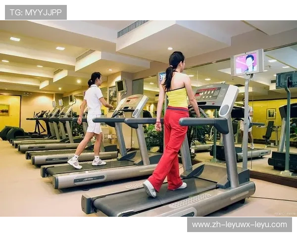 预算有限如何合理选购覆盖全身训练的基础健身器材组合